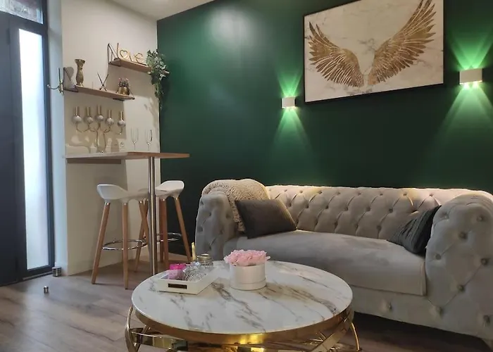 Apartman Sauna, Jacuzzi, Terrasse Et Parking Rouen